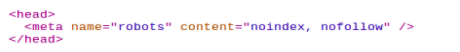 Robots Meta Tag Example
