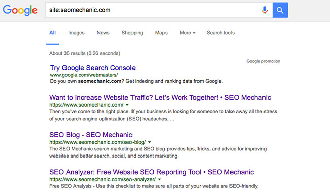 SEO 101: Why is My Website Not Showing in Google Search ...