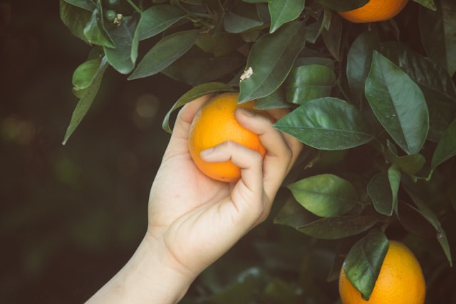 Content Selection: Choosing Blog Topics that Drive Traffic